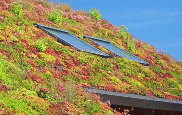 Hothfield living roof systems